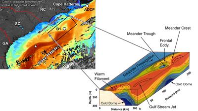 An Observation-Based Study of Gulf Stream Meander Kinematics Offshore of Cape Hatteras